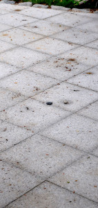 Granitplatten 3 Jahre alt, ohne Fuge verlegt in Splitt